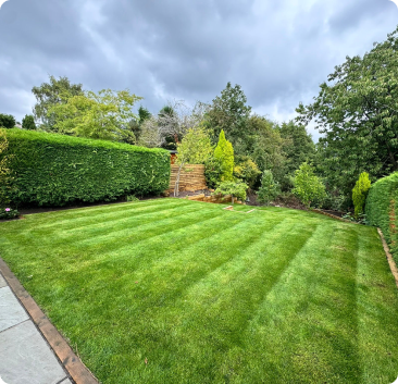 Newly landscaped lawn and leafy garden borders